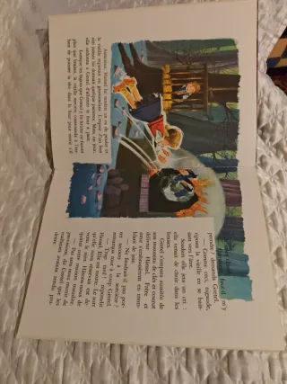 Cuentos infantiles en francés