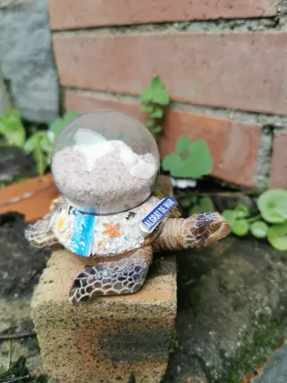 Bola de nieve Malgrat de Mar