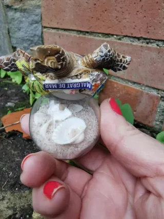 Bola de nieve Malgrat de Mar