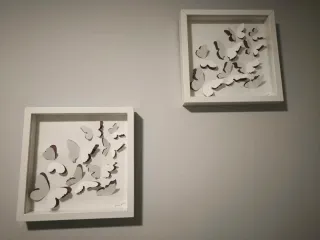 Cuadro decorativo mariposas