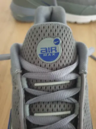 Zapatillas Nike Air Max Pulse