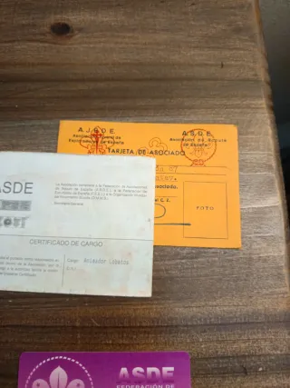 Carnets Scouts de España