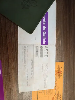 Carnets Scouts de España