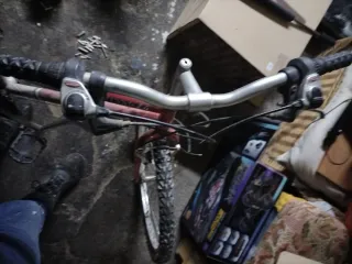 Bicicleta de montaña