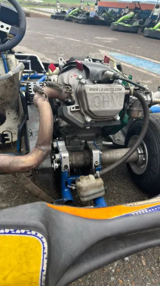 Kart de Competición Alpine