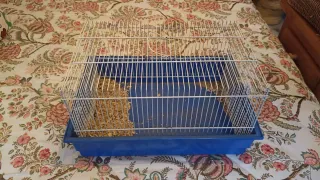 Jaula para hámster azul y blanca