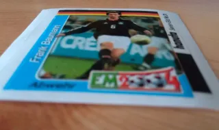 Cromo Frank Baumann Alemania 2004