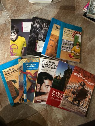 Lote libros juveniles/lectura escolar
