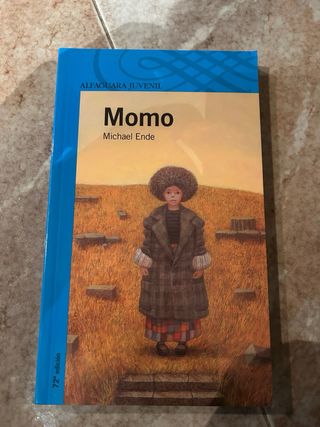 Lote libros juveniles/lectura escolar