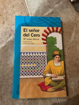 Lote libros juveniles/lectura escolar