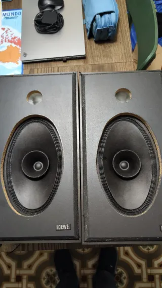 Altavoces Loewe LB 200