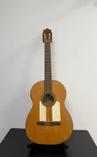 Guitarra Benito Ferrer 1900