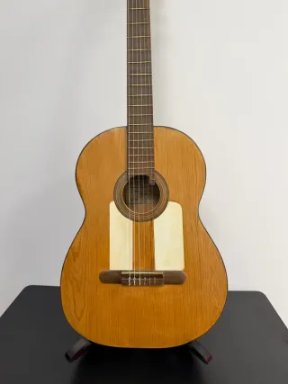 Guitarra Benito Ferrer 1900