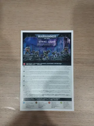 Warhammer 40k Escuadra de Choque Caballeros Grises