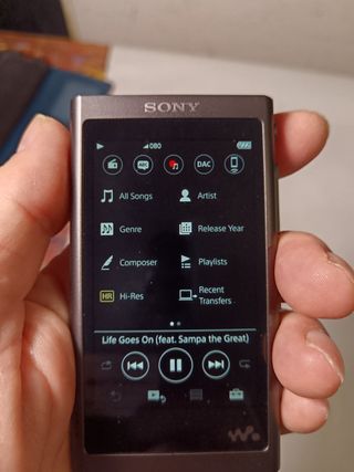 Reproductor Sony NW-A55L