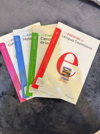 Lote de libros Santillana de 6 de primaria