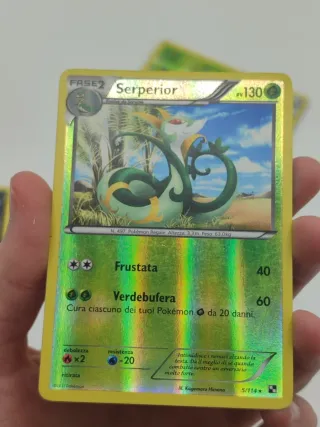 Lote Cartas Pokémon - BLACK AND WHITE