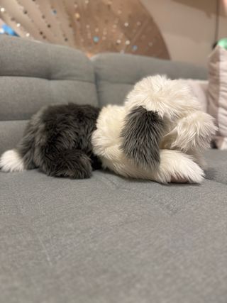 Peluche Perro Bobtail / Old English Sheepdog nuevo