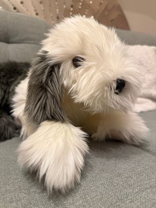 Peluche Perro Bobtail / Old English Sheepdog nuevo