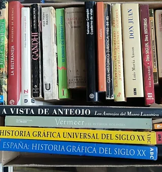 Caja CHOLLO de 28 libros variados