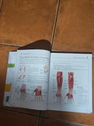 Estética de manos y pies (Spanish Edition)