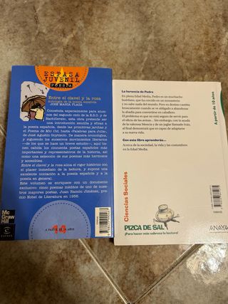 Lote 4 libros infantiles/juveniles