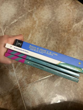 Lote 4 libros infantiles/juveniles