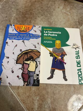 Lote 4 libros infantiles/juveniles