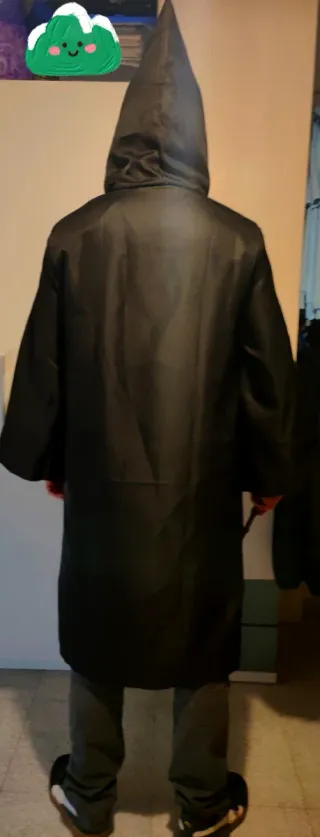 Disfraz Harry Potter Talla Única