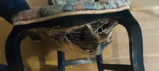 2 Sillas Madera Tapizadas Muelles, precio por las