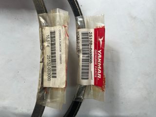 Correas Yanmar 2GM/3GM Motor Marino 25132-003000