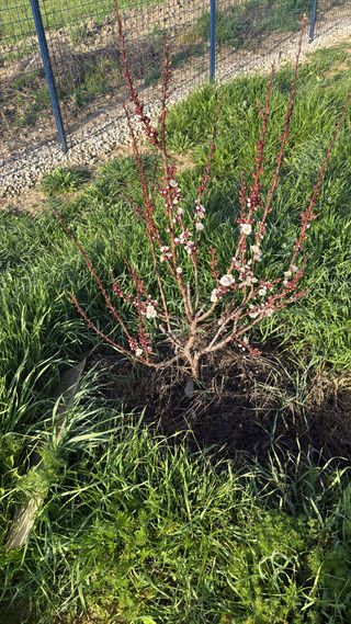 Alquiler habitación persona sola o pareja