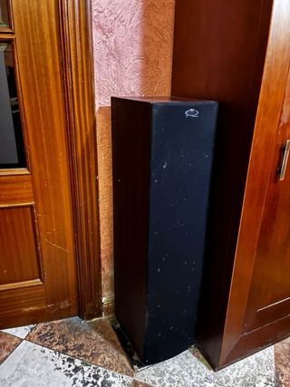 Amplificador Pioneer y 2 Altavoces