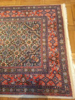 Alfombra Persa Lana Multicolor