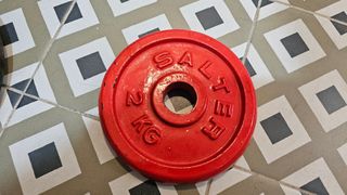 Haltera Salter y discos, 42kg en total