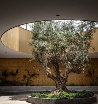 Piso en alquiler en Palmeral - Urbanova - Tabarca en Alicante