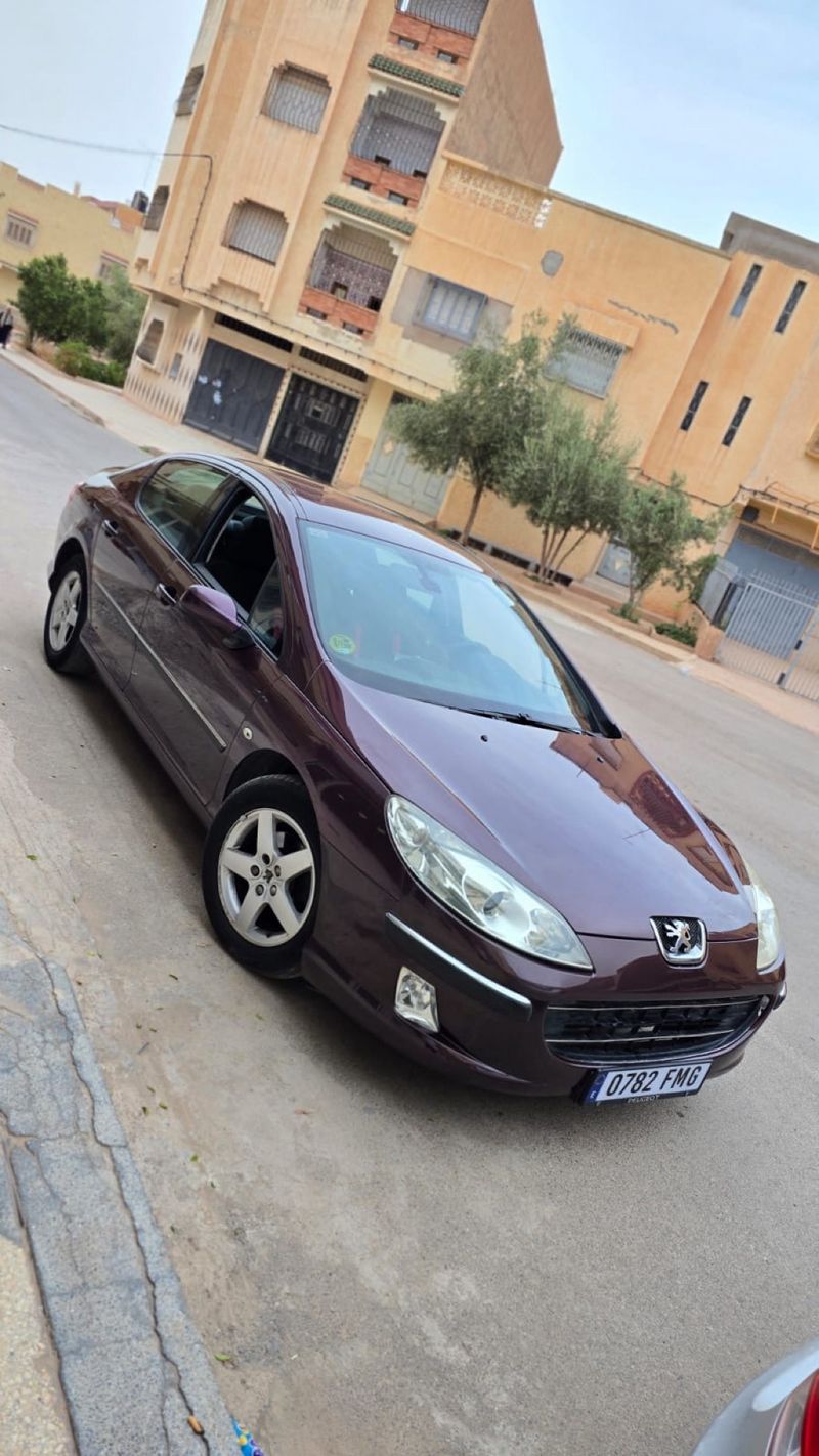 Peugeot 407 2007 - foto 1