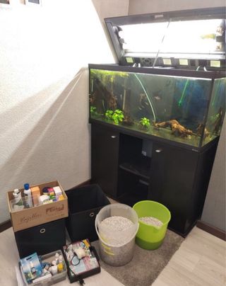 Acuario negro con mueble