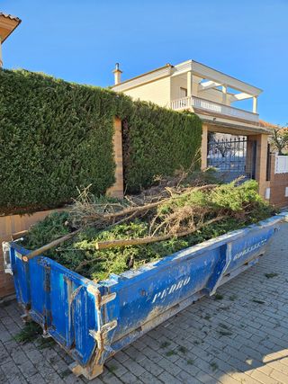 Servicios de Jardinería y Gestión Forestal