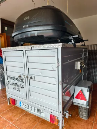 Remolque perros 3 compartimentos isotermo