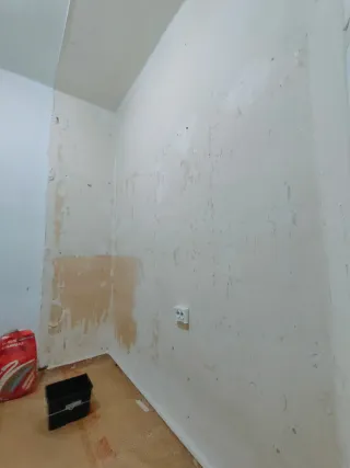 Pintor profesional Valencia/Quitar  gotelé