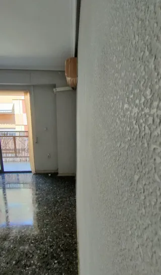 Pintor profesional Valencia/Quitar  gotelé