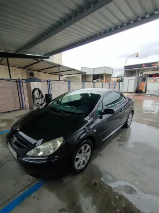 Peugeot 307 2004