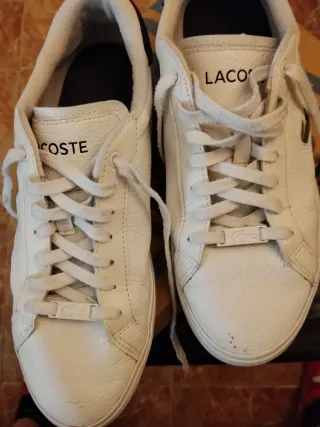 Zapatillas Lacoste Powercourt Talla 42.5