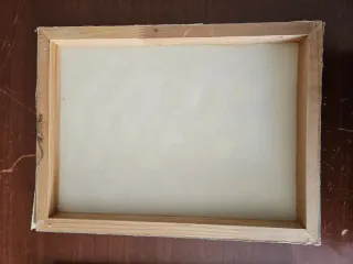 Coppia Quadri Dipinti a Mano Rose