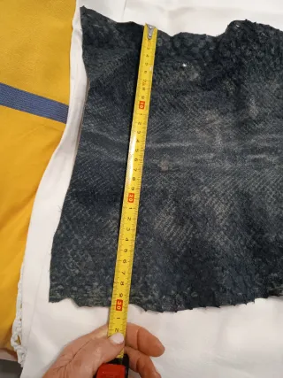 Piel de Serpiente Negra Auténtica