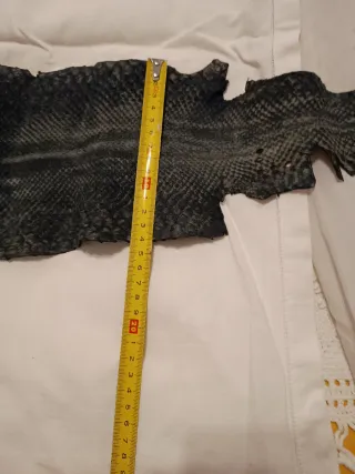 Piel de Serpiente Negra Auténtica