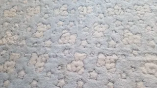 Osito azul con manta de estrellas