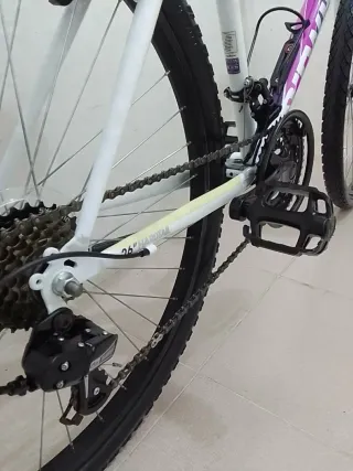 Bicicleta  Mujer bitwin rochrider 26 pulgadas