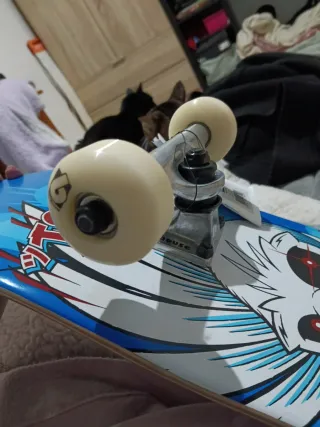 Skate profesional Birdhouse Tony Hawk